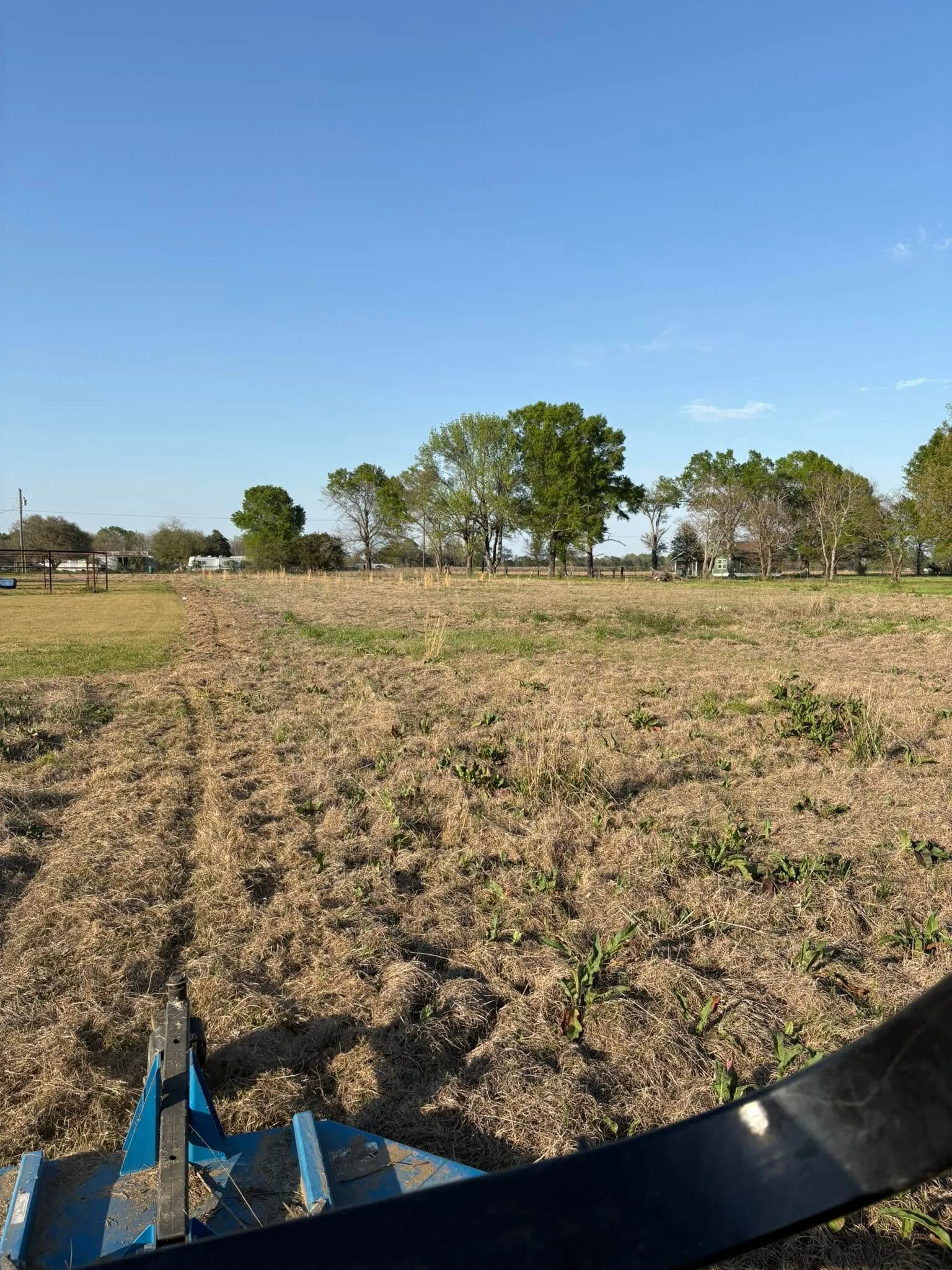 Tractor bush hogging an overgrown field down to stubble