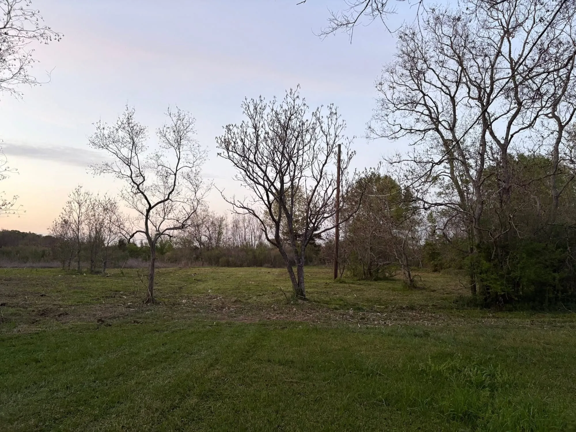 Open field cleared and mowed with bare trees at dusk