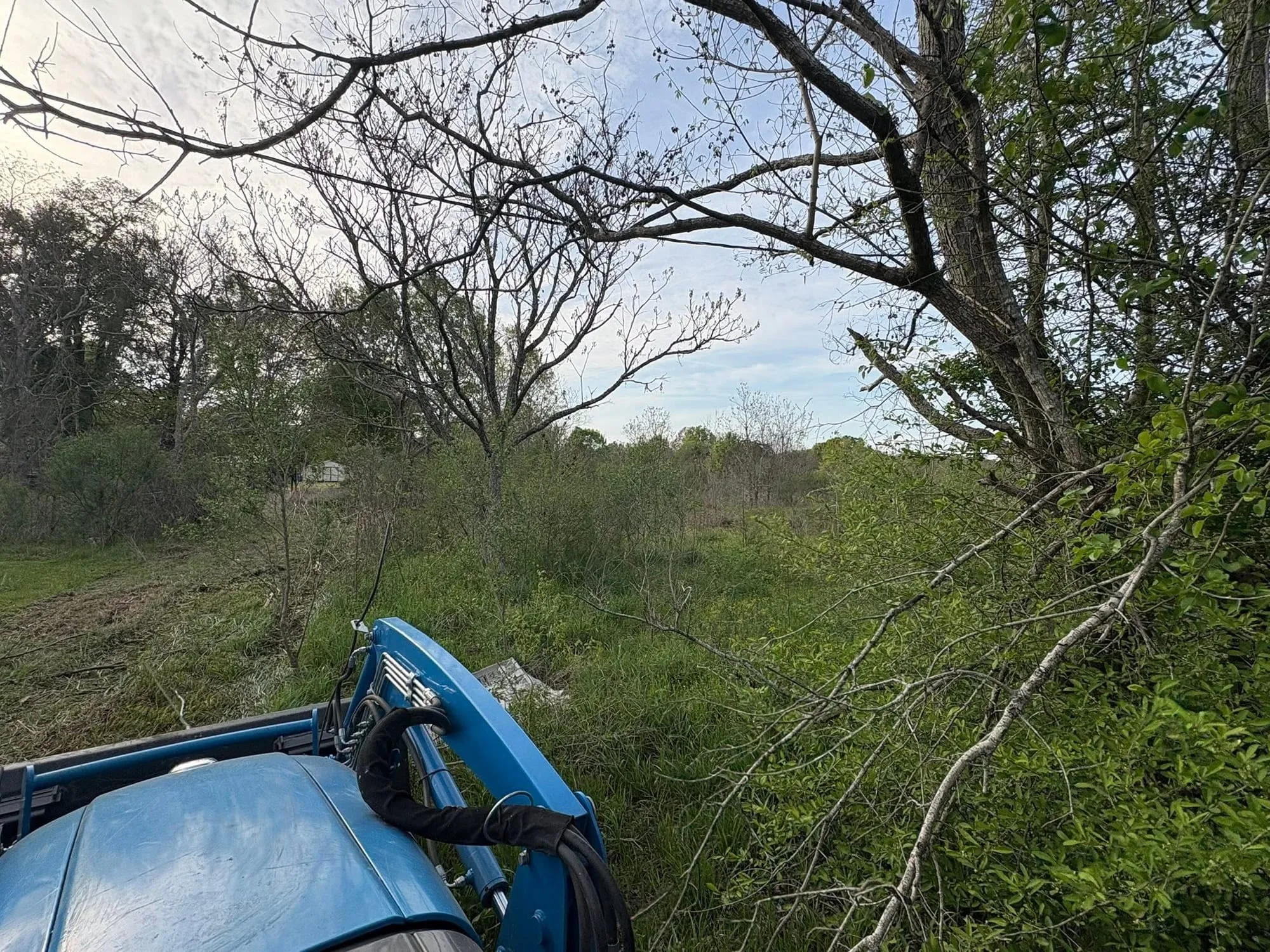 Tractor clearing overgrown ground to prep a plot