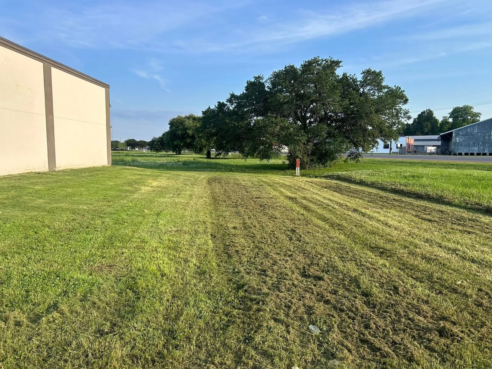 Commercial property turf mowed clean and even