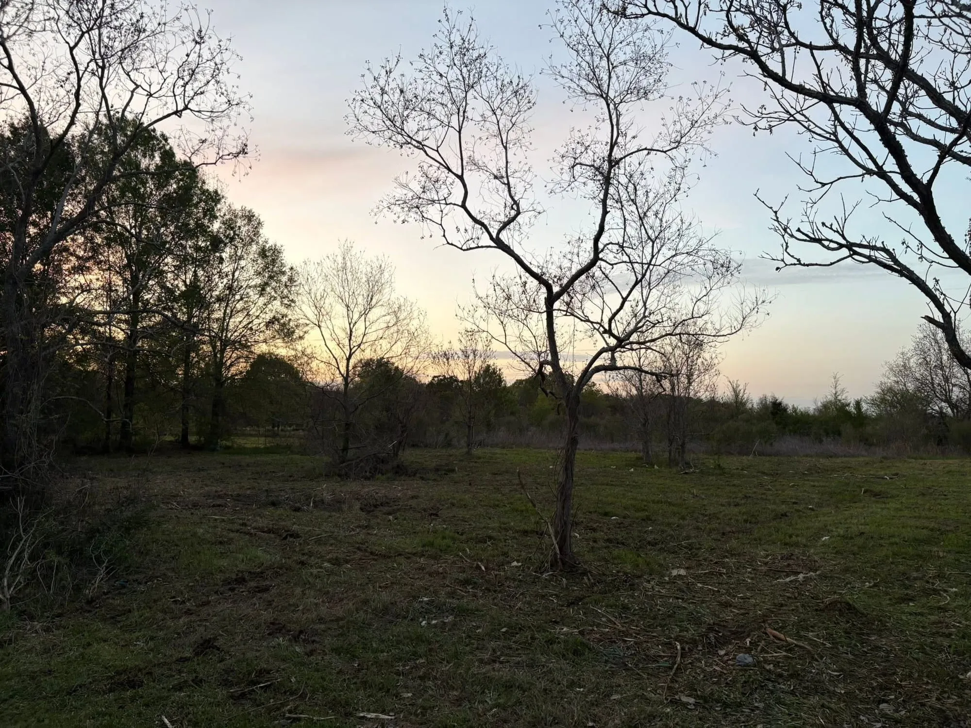 Field cleared of brush and debris after a cleanup