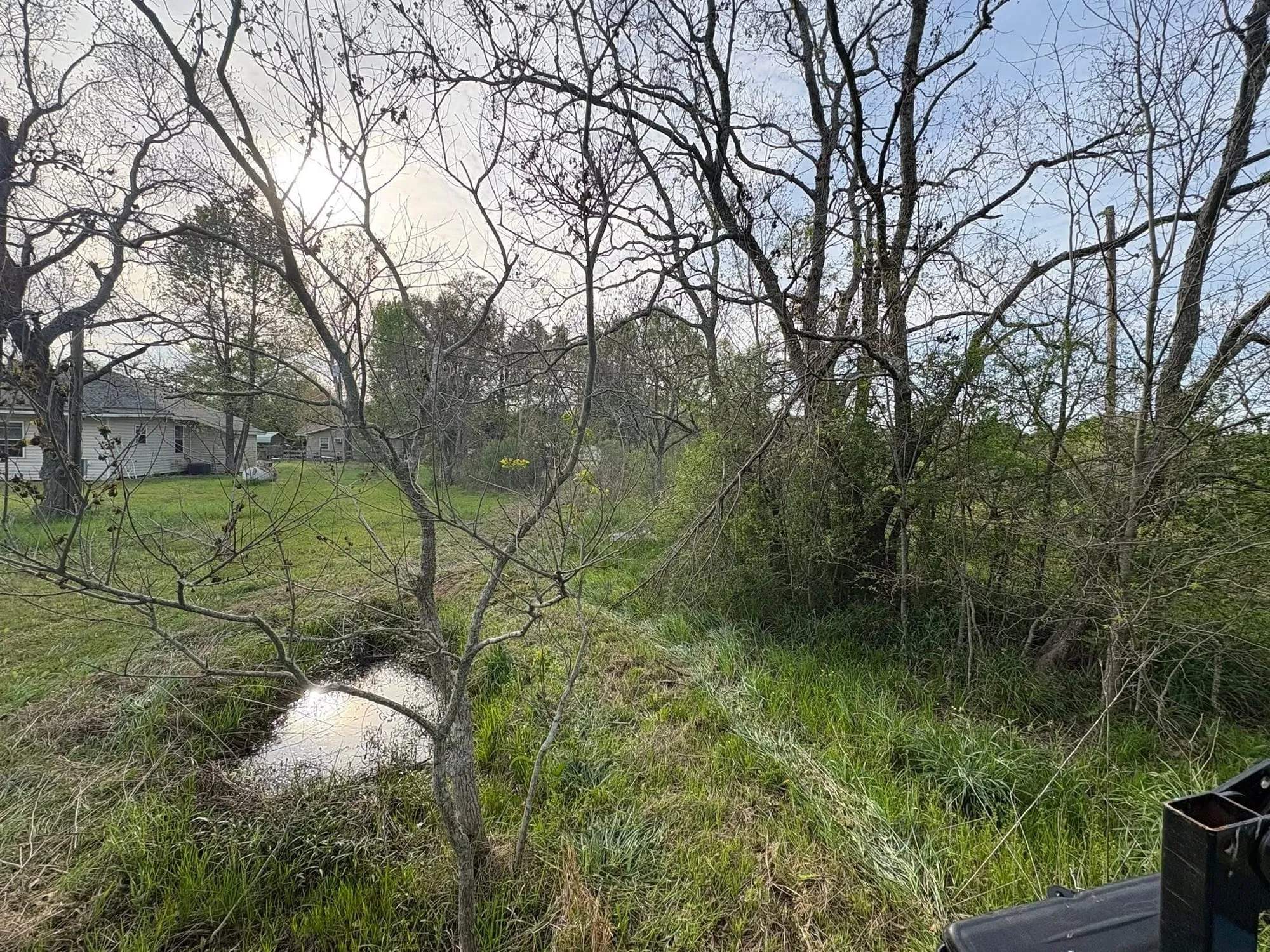 Overgrown yard edge with brush and a drainage ditch before cleanup
